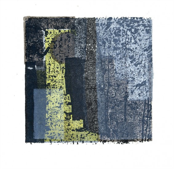 Herbārium X | litography | 15 x 15 cm | 2015